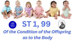 Study the Summa ST 1 99 Of The Condition of the Offspring as to the Body [upl. by Niltiac]