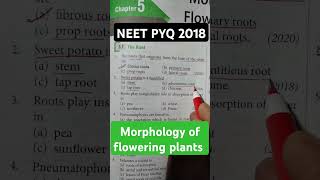 Morphology Of Flowering Plants NEET PYQ neet neet2025 motivation shorts [upl. by Gianina]