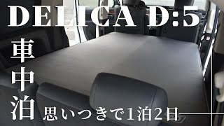 【デリカD5でソロ車中泊】コールマンマット＆BLUETTI AC50Bで一夜を過ごす！ [upl. by Ylatan]