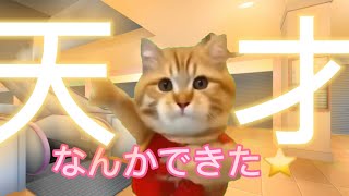 経営破綻寸前のチェーン店バイトで身が粉になった話【猫ミーム】 猫ミーム [upl. by Reiko]