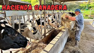 Impresionante HACIENDA GANADERA productora de LECHE 🥛🐄 Josué y Elie [upl. by Oesile]