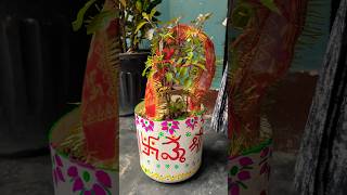 तुलसी ke gamle pe 🕉️ likha 🌿🌺 tulsi upay vidhi shorts ytshorts tulsivivah bhajan bhakti [upl. by Lari]