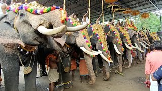 Kerala 🐘 Elephants at Thuravoor Ulsavam 2019 [upl. by Trager]