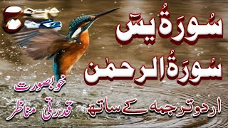 surah rehman ki tilawat tarjuma ke sath  surah yaseen full tarjuma ka sath [upl. by Adnema603]