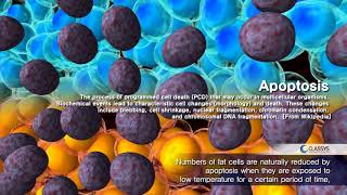 Animation Dispositif Cryolipolyse Clatuu de Classys  LCDLasers [upl. by Evoy612]