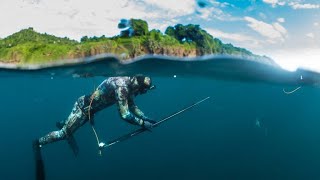 Spearfishing Tweed  Gold Coast  Morwong Sweetlip Remora 22092024 [upl. by Yllah104]