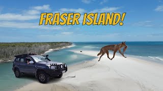 Fraser Island Exploring amp 4wdriving the Most ICONIC destination in Australia  Kgari pt1 [upl. by Airret]