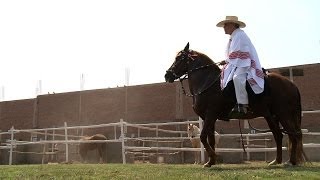 Prueba de sonido  El caballo peruano de paso [upl. by Charmion]