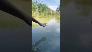 New Fishing Methods 😱🔥 trending fishing new shortvideo [upl. by Jonati]