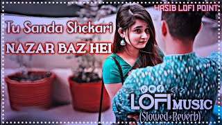 Tu Sanda Shekari Nazar Baz Hai  TikTok Viral Song  Slowed Reverb Lofi Music Tu Sanda Shekari [upl. by Nalim915]