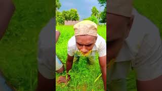 short video Shambhu comedy video funny [upl. by Abad]