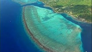 Polynésie française  Barrière de corail [upl. by Ahserb]