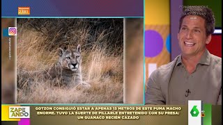 El aventurero Gotzon Mantuliz cuenta su encuentro con un puma en la Patagonia  Zapeando [upl. by Aicile]