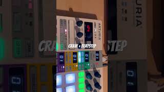 Behringer Crave  Beatstep Pro beats electro [upl. by Akirahc880]