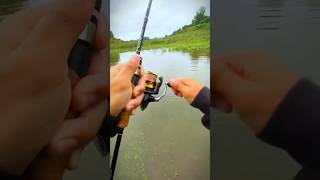 i found monster under feet catch and head enemyshorts fishing crazyfish carp viralvideo [upl. by Sherard]