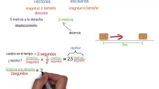 Introducción a los vectores y escalares [upl. by Analahs]