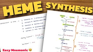 Heme Synthesis Pathway  Easy Mnemonic  Biochemistry [upl. by Andrej]