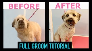 Wheaten Terrier Grooming Guide FULL GROOM STEPBYSTEP [upl. by Halian]