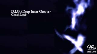 Chuck Loeb  D I G Deep Inner Groove [upl. by Annayk]