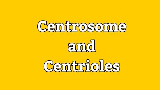 Centrosome and Centrioles  Cell Division  Spindle fibers  Cell Biology  HindiUrdu Lecture [upl. by Ennaihs]