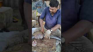 Perfect Vanjaram Fish Cutting By Kasimedu SPEED SELVAM🦈🗡 fishcutting speed fishing seafood fish [upl. by Corissa]