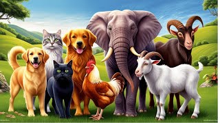 Beautiful Animal Moments Dog Cat goat chicken elephant monkey duck  Playful Animal Sounds [upl. by Ymaj]