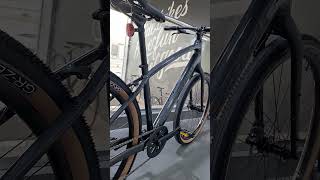 2024 Trek Dual Sport 2 [upl. by Hilarius934]