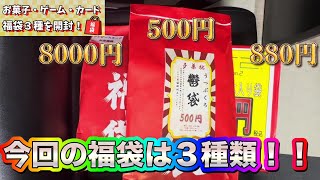 懲りずに３種類の福袋！？駄菓子・PS2・ワンピカードで得はできるのか…新春！福袋開封【実写】 [upl. by Dorene]