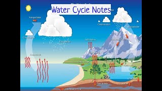 Water Cycle Notes Lesson [upl. by Avuha]