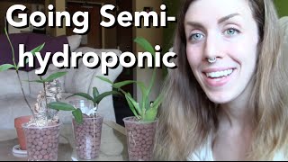 Going SemiHydroponic with Orchids  3 plants demonstrated [upl. by Bauske]