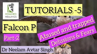 TUTORIALS5  FALCON P PART2  DR NEELAM AVTAR SINGH  HINDI  Video 160 [upl. by Scrope485]