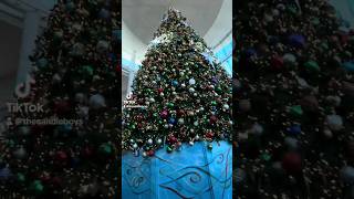 Christmas at the Mall candleboys christmas mall mallatmillenia mariahcarey l [upl. by Farland225]