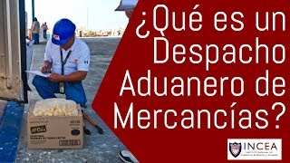 ¿Qué es un Despacho Aduanero de Mercancías [upl. by Ogaitnas]