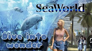 SeaWorld Abu Dhabi Theme park  Best place to visit in Abu Dhabi [upl. by Asilim]