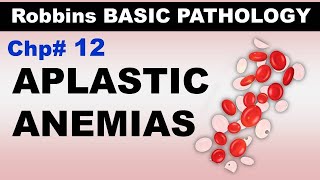 Ch12  Aplastic Anemias  Blood Pathology  Dr Asif Lectures [upl. by Anehsuc]