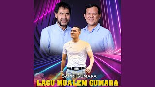 LAGU MUALEM GUMARA [upl. by Airym]