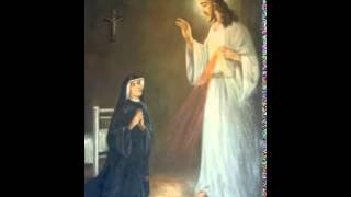 DIARIO DE SOR FAUSTINA KOWALSKA quinto cuaderno [upl. by Atteuqehs]