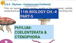 Class 11 BiologyCh4 Part5Phylum Coelenterata amp CtenophoraStudy with Farru [upl. by Buyers]