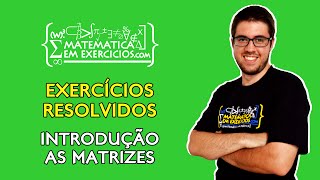 Exercícios Resolvidos  Matrizes introdução  Prof Gui [upl. by Esmaria]