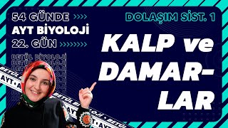 22 Kalp ve Damarlar  Dolaşım Sistemi  11 Sınıf Biyoloji  2024 AYT Biyoloji Kampı 22 Gün [upl. by Retnyw415]