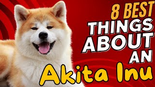 8 Best Things About an Akita Inu 🐶 [upl. by Baudelaire]