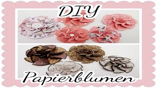 DIY Papierblumen  Craft update 7   Tutorial [upl. by Raffo]