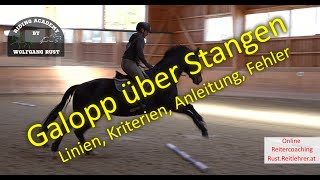 S12 Stangentraining im Galopp Linien Abstände Kriterien Hilfengebung korrektes Reiten  Fehler [upl. by Nomelihp780]