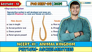 Lec 12 Phylum Aschelminthes Animal Kingdom Class 11 NEET 2024 [upl. by Asirap353]