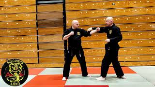 Choki Motobu Methods  Drill 10 [upl. by Annayak443]