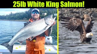 25lb White King Salmon Alaskan King Salmon Fishing  Juneau Alaska JUNE 2024 trolling bigfish [upl. by Virgin]