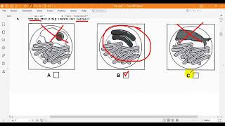 Cambridge English Preliminary 4 Listening Test 2 Part 1 [upl. by Eeniffar]