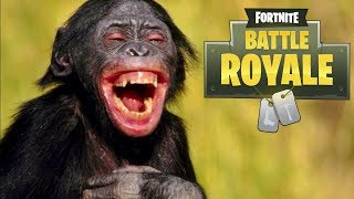 PTDR CETTE GAME CEST LE PIRE ZOO POSSIBLE  BATTLE ROYALE EN SECTION [upl. by Ahsienor]