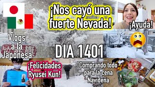 Compras para la Cena NAVIDEÑA🎄 Cayó una Súper Nevada 🌬️ ☃️  Ruthi San ♡ 221223 [upl. by Ahseenal]