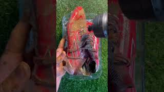 Adidas Speedflow’s Cleaning in ASMR 🧼⚽️ [upl. by Irap468]